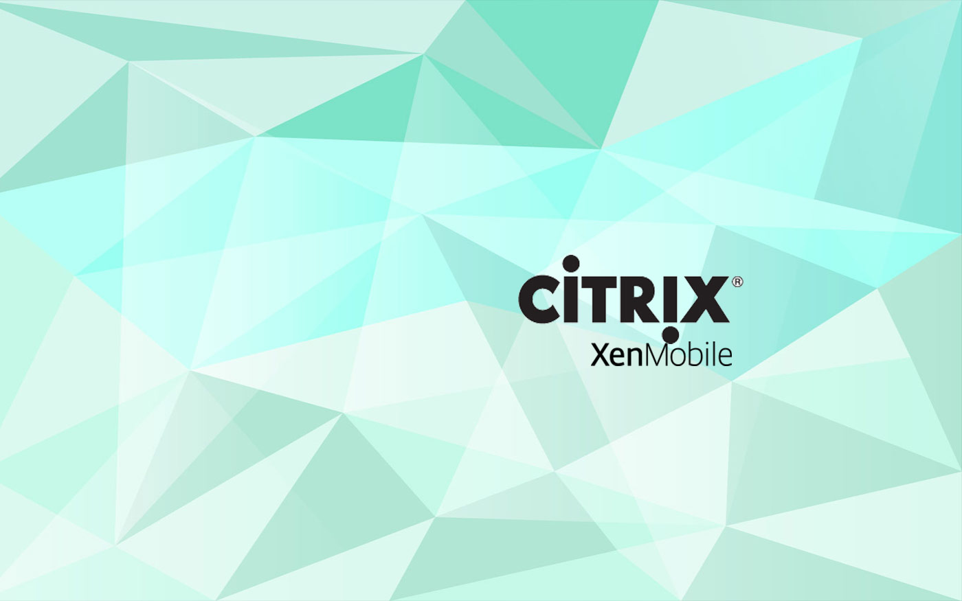 citrix Mobility and Virtualization Service in Dubai